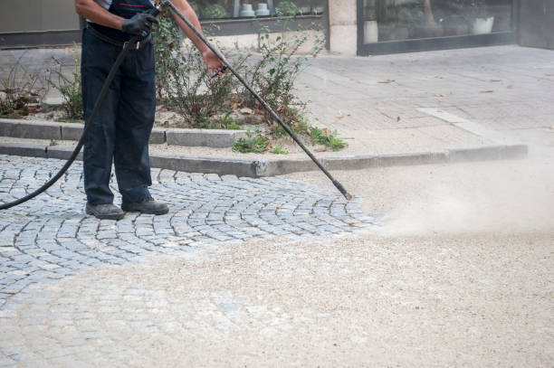Best Dumpster Area Cleaning  in Carpendale, WV