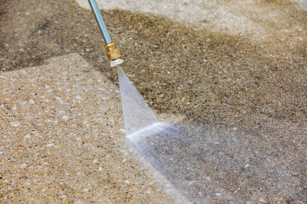 Best Winterizing Services  in Carpendale, WV