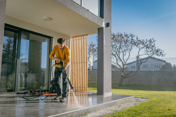 Best Sidewalk and Walkway Cleaning  in Carpendale, WV