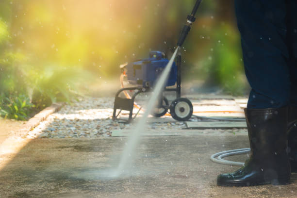 Best Residential House Exterior Washing  in Carpendale, WV